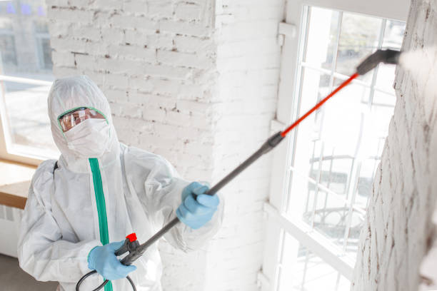 Best Dehumidification Services  in Llender, CA