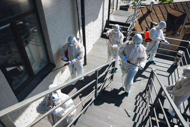 Best Water Damage & Mold Remediation  in Llender, CA