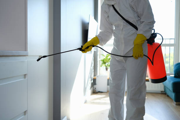 Best Forensic Mold Investigation  in Llender, CA