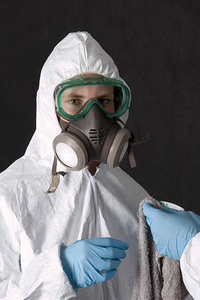 Best Basement Mold Removal  in Llender, CA